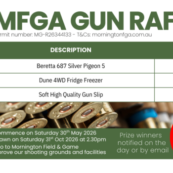 Gun Raffle Ticket